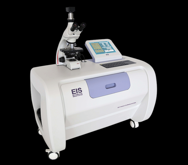 EIS